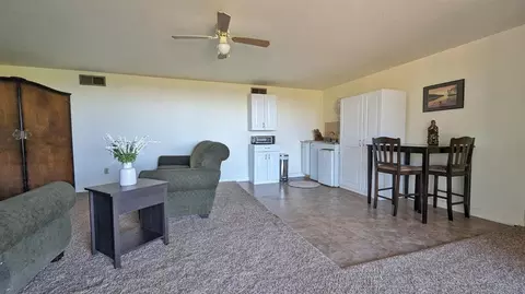 Living - 13743 Bowman Rd, Pine Grove, CA 95665 photo 9 of 12