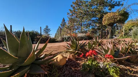 Exterior - 13743 Bowman Rd, Pine Grove, CA 95665 photo 6 of 29