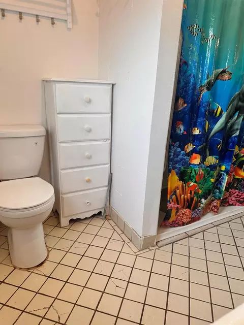 Bath - 1334 Armstrong Dr, Manteca, CA 95336 photo 3 of 4