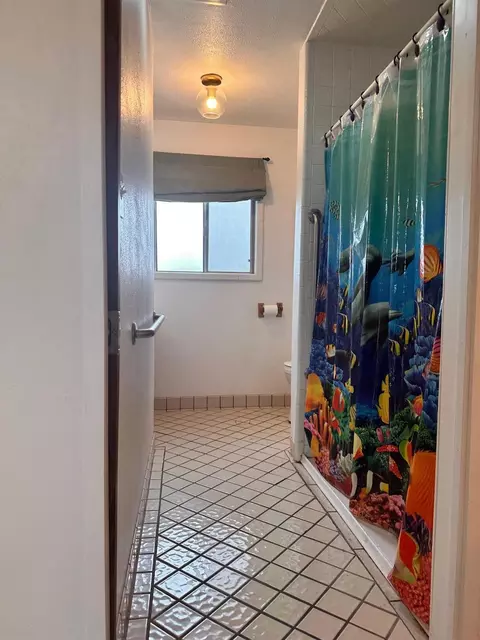 Bath - 1334 Armstrong Dr, Manteca, CA 95336 photo 2 of 4