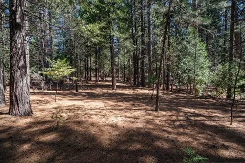 Exterior - 25950 Shake Ridge Rd, Volcano, CA 95689 photo 17 of 18