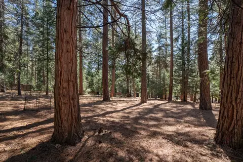 Exterior - 25950 Shake Ridge Rd, Volcano, CA 95689 photo 14 of 18