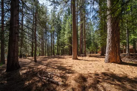 Exterior - 25950 Shake Ridge Rd, Volcano, CA 95689 photo 3 of 18