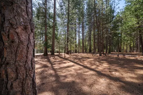 Exterior - 25950 Shake Ridge Rd, Volcano, CA 95689 photo 18 of 18
