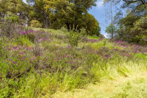 View/Area - 5454 Oak Leaf Cir, Placerville, CA 95667 photo 12 of 13