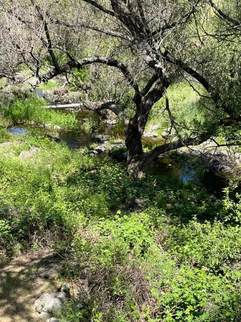 5042 Reservation Rd, Placerville, CA 95667 photo 65