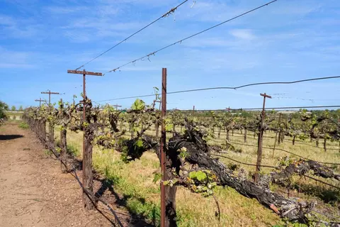 Exterior - 19330 E Stampede Rd, Lodi, CA 95240 photo 6 of 7