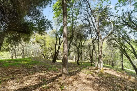 View/Area - 2450 Cascade Trl, Cool, CA 95614 photo 3 of 13