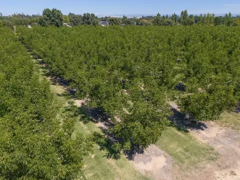 View/Area - 354 Chatfield Ave, Biggs, CA 95917 photo 17 of 24