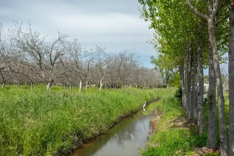 View/Area - 354 Chatfield Ave, Biggs, CA 95917 photo 9 of 24
