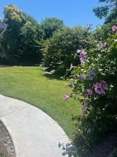 Exterior - 802 Hartwick Ave, Turlock, CA 95382 photo 11 of 16