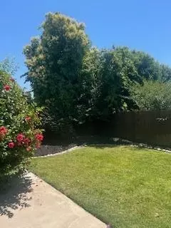 Exterior - 802 Hartwick Ave, Turlock, CA 95382 photo 13 of 16