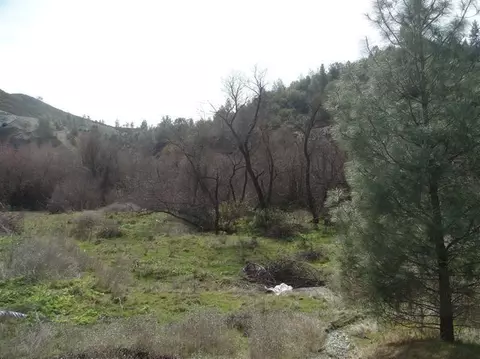 4565 Summer Stream Ln, Placerville, CA 95667 photo 20