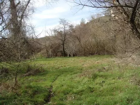4565 Summer Stream Ln, Placerville, CA 95667 photo 21