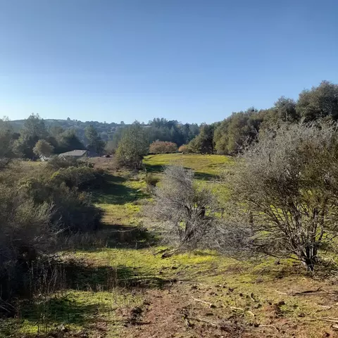 4565 Summer Stream Ln, Placerville, CA 95667 photo 7