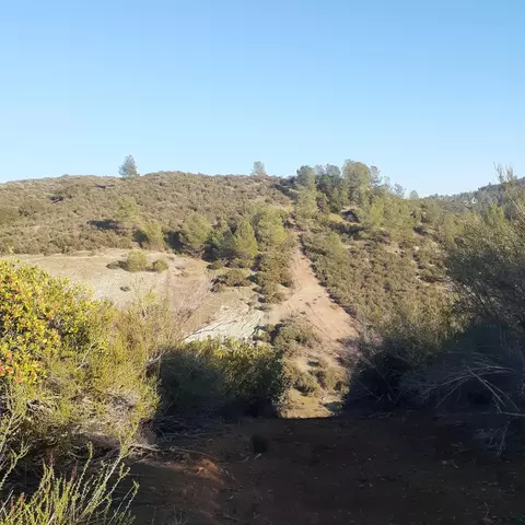 4565 Summer Stream Ln, Placerville, CA 95667 photo 14