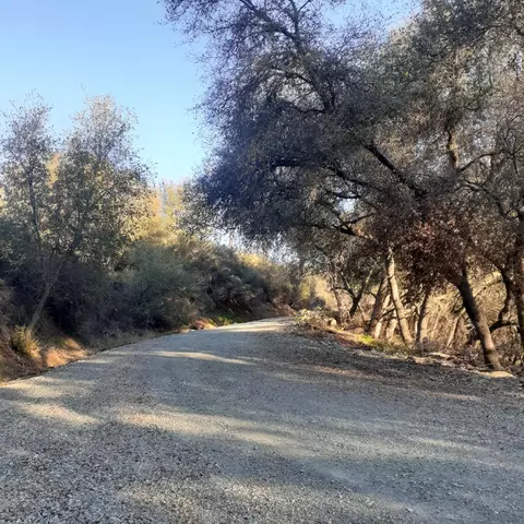 4565 Summer Stream Ln, Placerville, CA 95667 photo 5