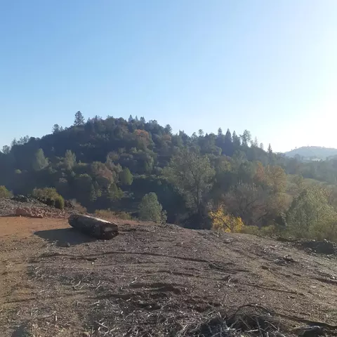 4565 Summer Stream Ln, Placerville, CA 95667 photo 13