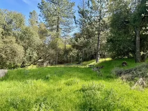 Exterior - 4420 Sand Ridge Rd, Placerville, CA 95667 photo 14 of 17