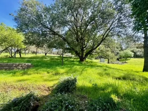 View/Area - 4420 Sand Ridge Rd, Placerville, CA 95667 photo 3 of 5