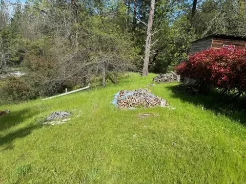 Exterior - 4420 Sand Ridge Rd, Placerville, CA 95667 photo 13 of 17