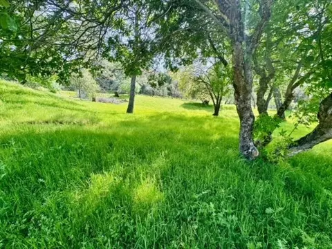 Exterior - 4420 Sand Ridge Rd, Placerville, CA 95667 photo 16 of 17