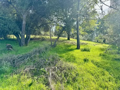 View/Area - 4420 Sand Ridge Rd, Placerville, CA 95667 photo 5 of 5