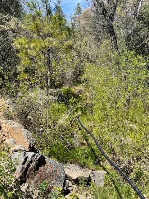 13593 Hidden Valley Rd, Grass Valley, CA 95949 photo 34