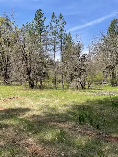 13593 Hidden Valley Rd, Grass Valley, CA 95949 photo 24