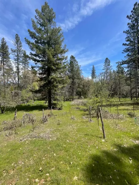 13593 Hidden Valley Rd, Grass Valley, CA 95949 photo 18