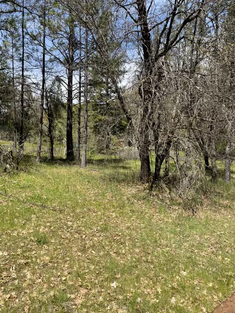 13593 Hidden Valley Rd, Grass Valley, CA 95949 photo 25