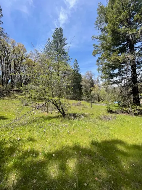 13593 Hidden Valley Rd, Grass Valley, CA 95949 photo 21