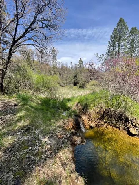 13593 Hidden Valley Rd, Grass Valley, CA 95949 photo 44