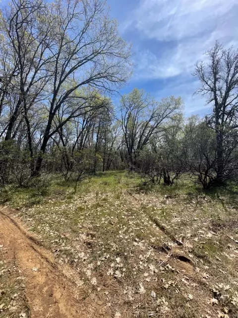 13593 Hidden Valley Rd, Grass Valley, CA 95949 photo 30