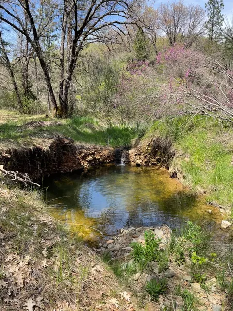 13593 Hidden Valley Rd, Grass Valley, CA 95949 photo 43