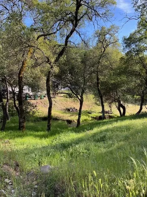 View/Area - 3855 Nugget Ln, Placerville, CA 95667 photo 6 of 12