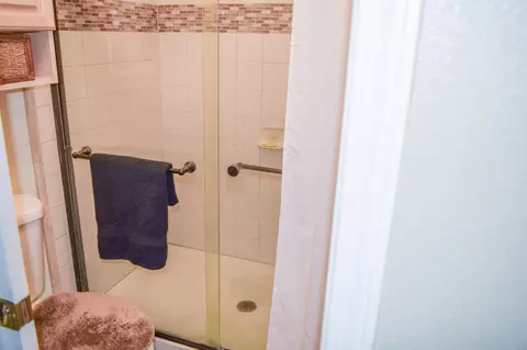 Bath - 894 Cinnamon Teal Ct, Manteca, CA 95337 photo 6 of 6