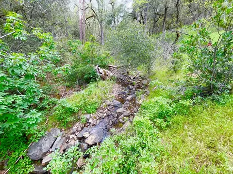 8546 Cave City Rd, Mountain Ranch, CA 95246 photo 14