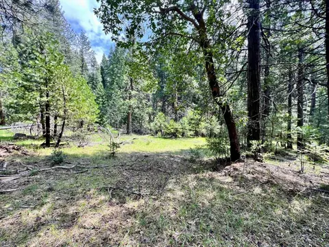 20080 Pine Dr, Volcano, CA 95689 photo 14