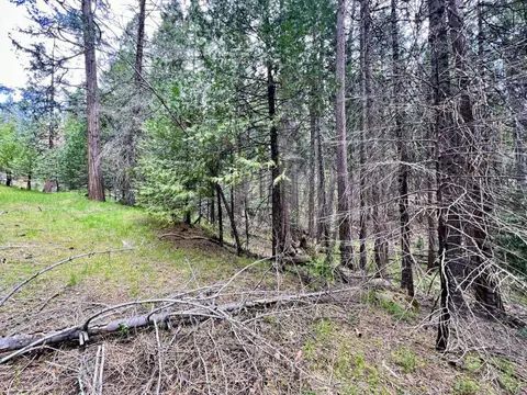 20080 Pine Dr, Volcano, CA 95689 photo 20