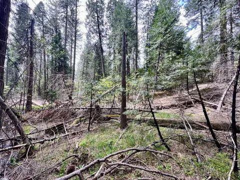 20080 Pine Dr, Volcano, CA 95689 photo 16