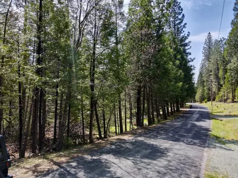 20080 Pine Dr, Volcano, CA 95689 photo 4