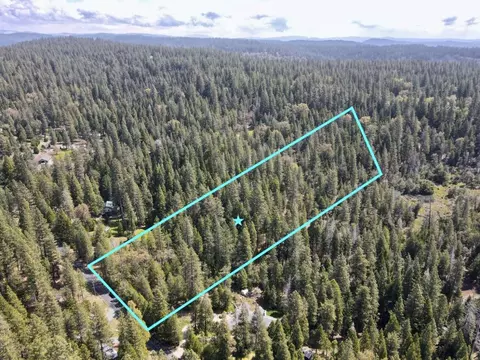 20080 Pine Dr, Volcano, CA 95689 photo 12