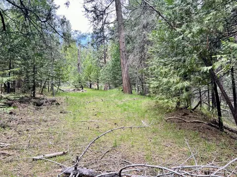 20080 Pine Dr, Volcano, CA 95689 photo 19
