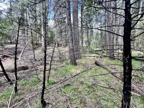 20080 Pine Dr, Volcano, CA 95689 photo 18
