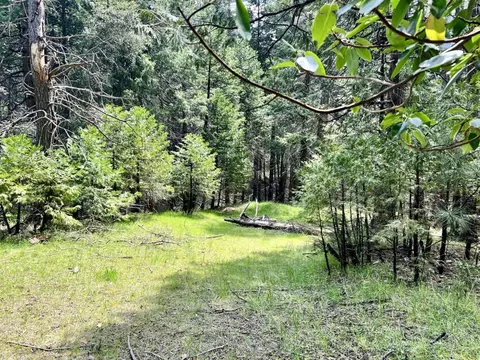 20080 Pine Dr, Volcano, CA 95689 photo 6