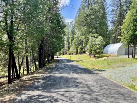20080 Pine Dr, Volcano, CA 95689 photo 10