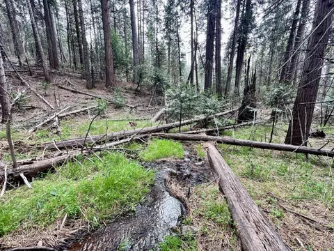 20080 Pine Dr, Volcano, CA 95689 photo 3