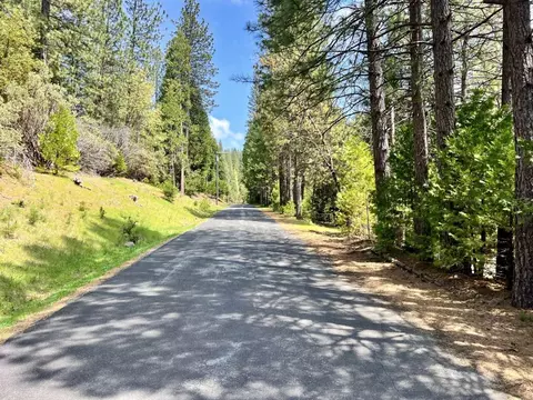 20080 Pine Dr, Volcano, CA 95689 photo 11