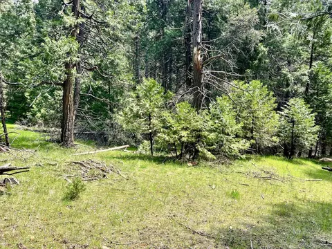 20080 Pine Dr, Volcano, CA 95689 photo 7